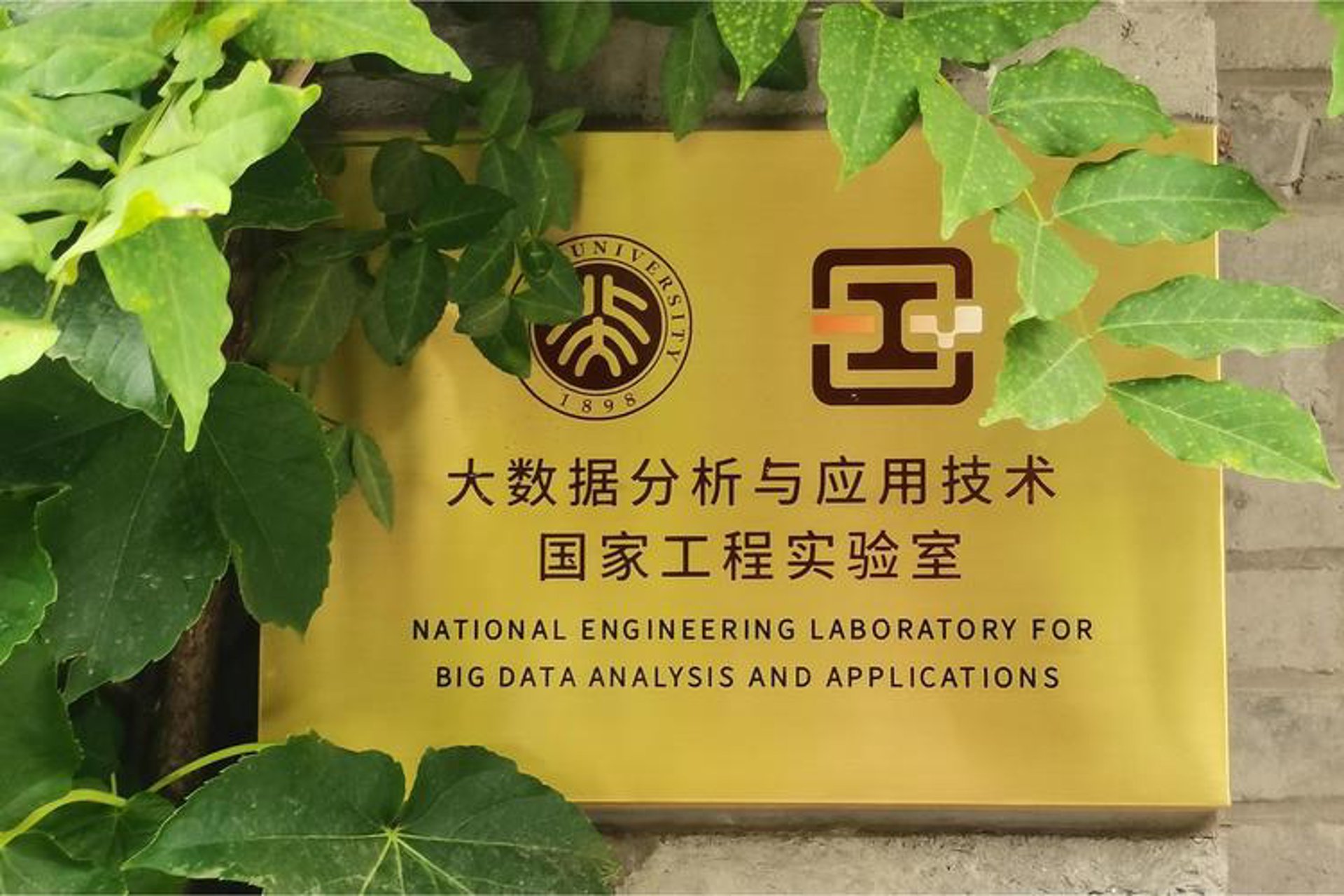 数据采集:选择高效工具的指南